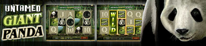 Spin Palace Casino :: Игровой автомат Untamed-Giant Panda